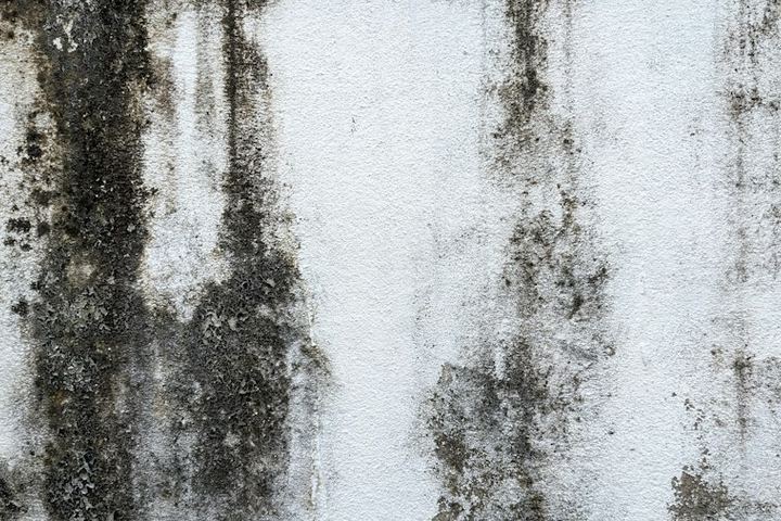 Black mold streaks spreading down a white painted wall